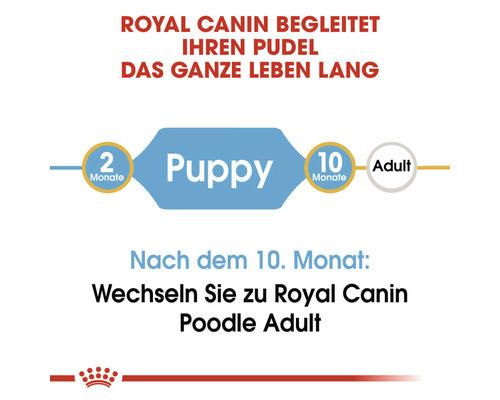Royal Canin Futterempfehlung für Pudel: Puppy bis zum zehnten Monat, danach Adult Futter.