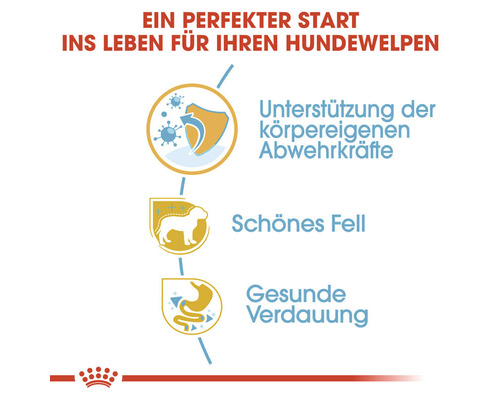 Grafik zu den Vorteilen von Hundefutter: Unterstützung der körpereigenen Abwehrkräfte, schönes Fell, gesunde Verdauung