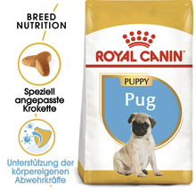 Royal Canin Puppy Pug Hundetrockenfutter