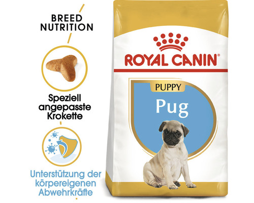Royal Canin Puppy Pug Hundetrockenfutter