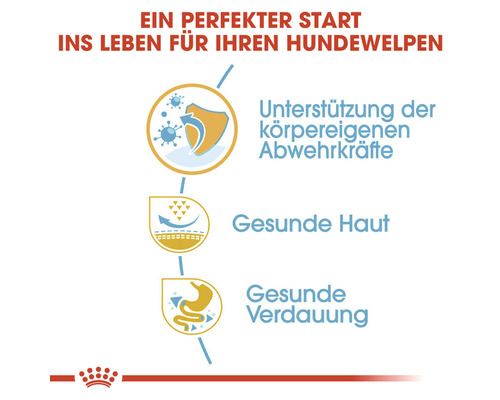 Grafische Darstellung zur Unterstützung der körpereigenen Abwehrkräfte, für gesunde Haut und gesunde Verdauung bei Hundewelpen