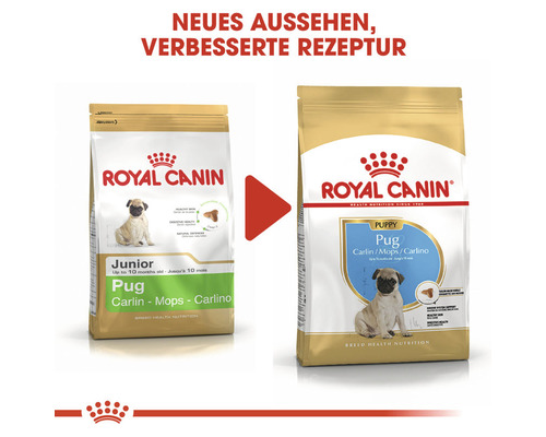 Royal Canin Hundefutter für Mops Welpen, verbesserte Rezeptur
