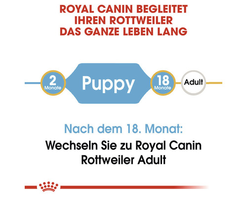 Royal Canin begleitet Ihren Rottweiler das ganze Leben lang. Grafik zur Fütterung von Rottweilerwelpen und erwachsenen Rottweilern.
