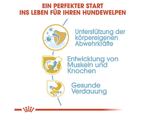 Grafik zur Unterstützung der Abwehrkräfte, Muskel- und Knochenentwicklung sowie gesunde Verdauung bei Hundewelpen.