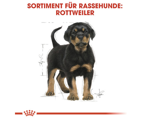 Welpenfutter für Rottweiler