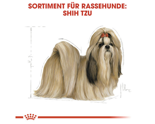 Illustration eines Shih Tzu Hundes für Rassehunde Produkte