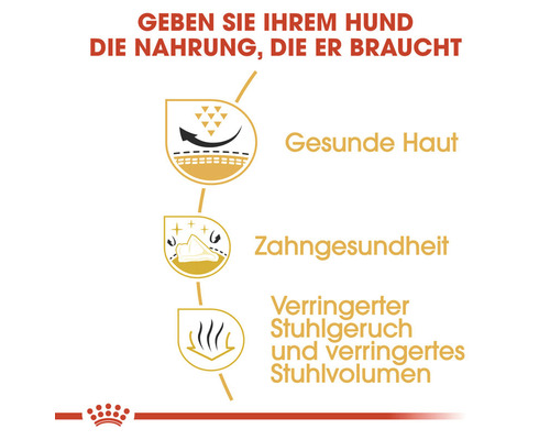 Illustration zur Unterstützung von gesunder Haut, Zahngesundheit sowie zur Reduzierung von Stuhlgeruch und -volumen durch Hundefutter.