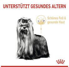 Hundefutter trocken ROYAL CANIN Yorkshire Terrier Adult 8+ 1,5 kg