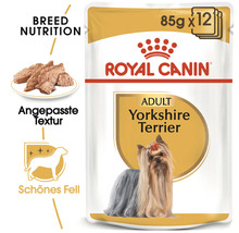 Royal Canin Adult Yorkshire Terrier Hundenassfutter, 12er Pack