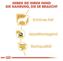 Symbole für schönes Fell, Appetitanregung und Stuhlqualität bei Hundefutter