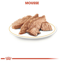Katzenfutter Mousse auf einem Teller