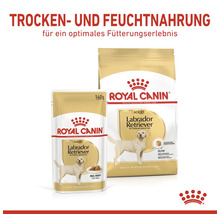 Royal Canin Labrador Retriever adult dry and wet dog food.