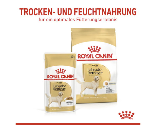 Royal Canin Labrador Retriever adult dry and wet dog food.