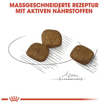 Hundefutter trocken ROYAL CANIN Coat Care Mini 3 kg