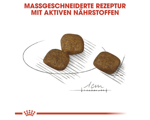 Hundefutter Brocken mit angepasster Rezeptur