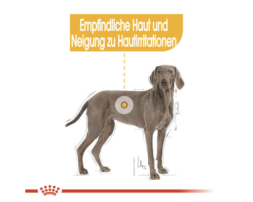 Illustration eines Hundes mit empfindlicher Haut und Neigung zu Hautirritationen
