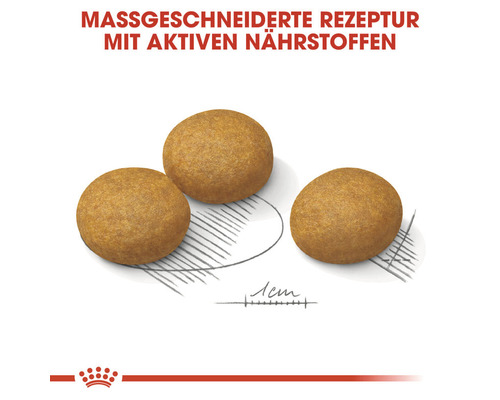 Drei Stück Hundetrockenfutter