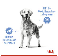 Hundefutter trocken ROYAL CANIN Light Weight Care Maxi 12 kg