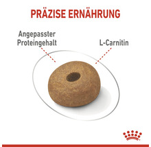 Hundefutter trocken ROYAL CANIN Light Weight Care Maxi 12 kg