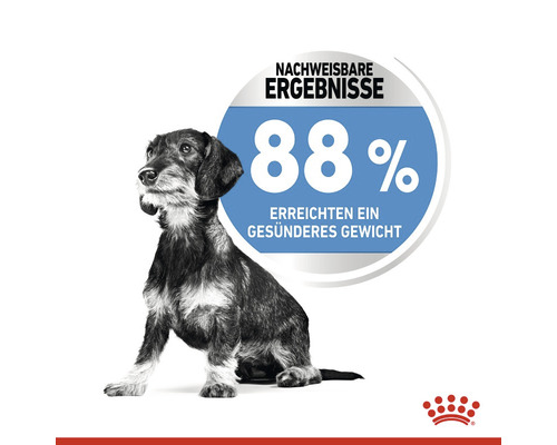 Dackel sitzt neben dem Hinweis: 88 Prozent erreichten ein gesünderes Gewicht