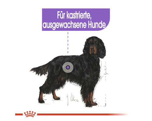 Illustration eines Hundes, geeignet für kastrierte, ausgewachsene Hunde