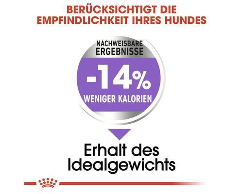 Weniger Kalorien für den Erhalt des Idealgewichts bei Hunden