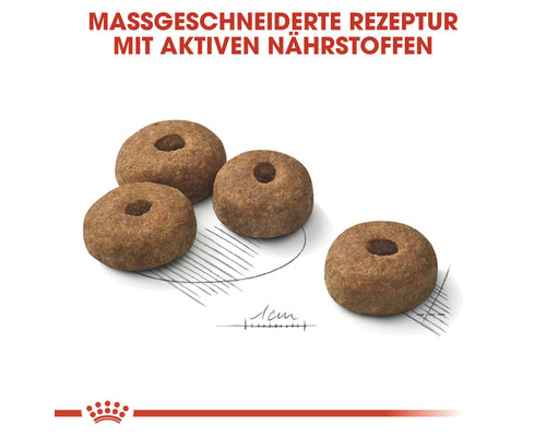 Hundefutter-Kroketten mit Loch
