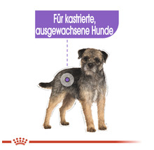 Illustration eines Hundes mit dem Text Für kastrierte, ausgewachsene Hunde