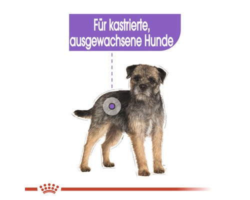 Illustration eines Hundes mit dem Text Für kastrierte, ausgewachsene Hunde