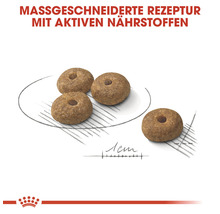 Hundefutter-Pellets mit Loch