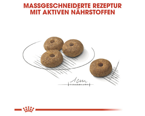 Hundefutter-Pellets mit Loch