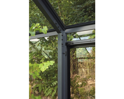 Detailansicht eines Gewächshausrahmens aus Aluminium und Glas.