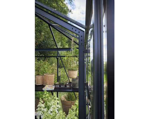 Detailansicht eines Gewächshauses mit Regalen und Pflanzen