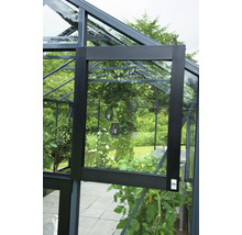 Gewächshaus JULIANA Premium 8,8 m² 3 mm Sicherheitsglas 296 x 296 cm anthrazit/schwarz