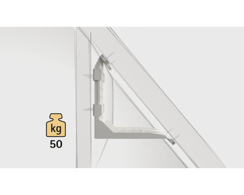 Symbol für eine maximale Belastbarkeit von 50 Kilogramm eines Regals