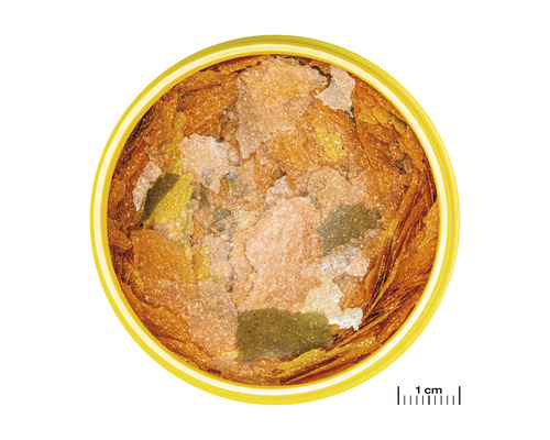 Fischfutterflocken in einer Dose