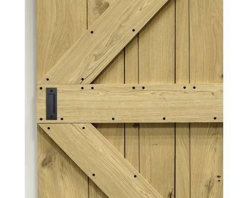 Detailansicht einer Holztür mit Beschlägen und Griff