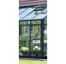 Gewächshaus JULIANA Premium 8,8 m² 3 mm Sicherheitsglas 296 x 296 cm anthrazit/schwarz
