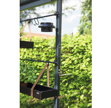 Gewächshaus JULIANA Premium 8,8 m² 3 mm Sicherheitsglas 296 x 296 cm anthrazit/schwarz