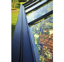 Gewächshaus JULIANA Premium 8,8 m² 3 mm Sicherheitsglas 296 x 296 cm anthrazit/schwarz