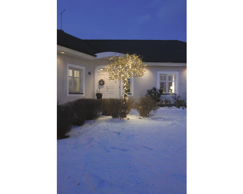 Beleuchteter Baum vor einem Wohnhaus im Wintergarten.