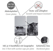 Zweierset Abdeckplatten aus gehärtetem Glas mit schottischen Hochlandrindern, kratz- und schlagfest, inklusive Standfüße mit Saugnäpfen