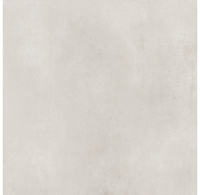 Wand- und Bodenfliese Terra cemento 59,7x59,7cm matt rektifiziert