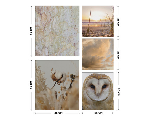 Mehrteiliges Wandbild mit Naturmotiven und Größenangaben