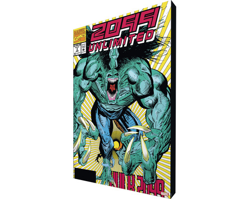 Comic-Heft Hulk 2099 Unlimited Nummer 3