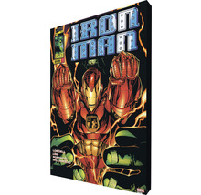 Leinwandbild Iron Man 50x70 cm