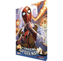 The Amazing Spider-Man Comic Cover