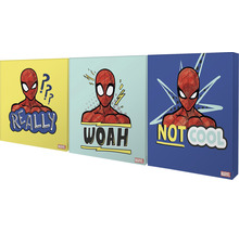 Drei Wandbilder mit Spider-Man Motiven