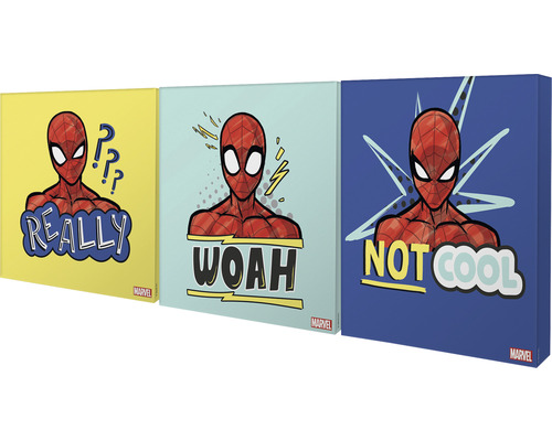 Drei Wandbilder mit Spider-Man Motiven