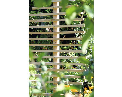 Holzpflanzgitter im Garten zur Pflanzenstützung